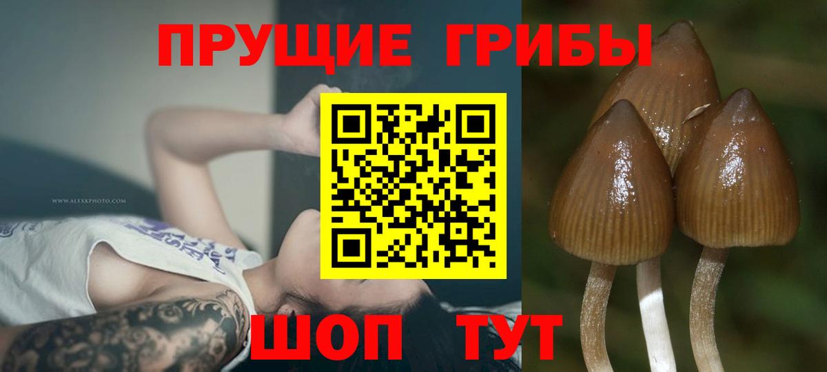 Галлюциногенные грибы MAGIC MUSHROOMS Кушва