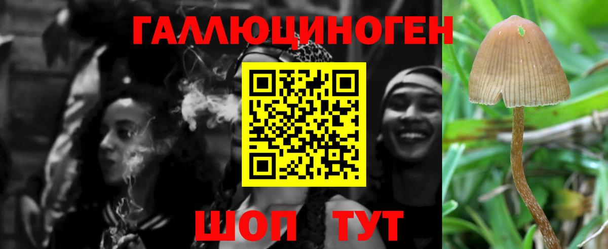 Псилоцибиновые грибы MAGIC MUSHROOMS  Вход с VPN  Кушва  Псилоцибиновые грибы Psilocybe 